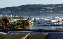 Foto Hotel Mykonos View in Mykonos stad ( Mykonos)